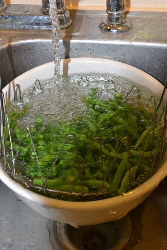 how to freeze green Beans