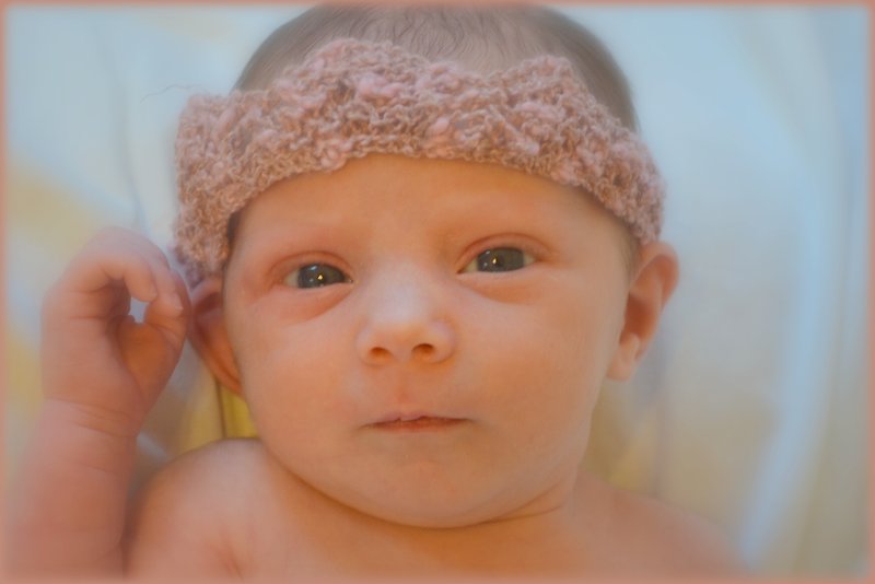 Newborn Photographs 