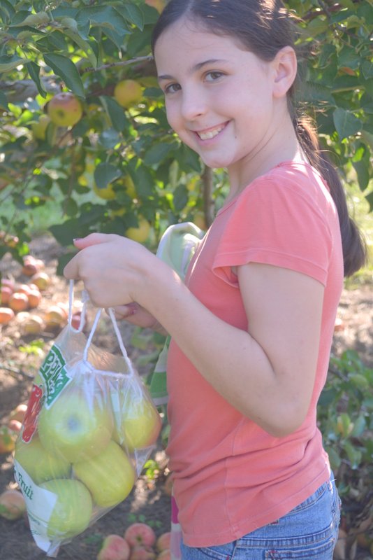 apple picking