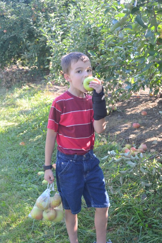 apple picking