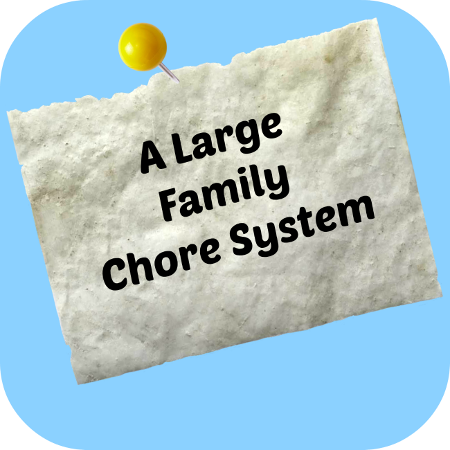 large family store system