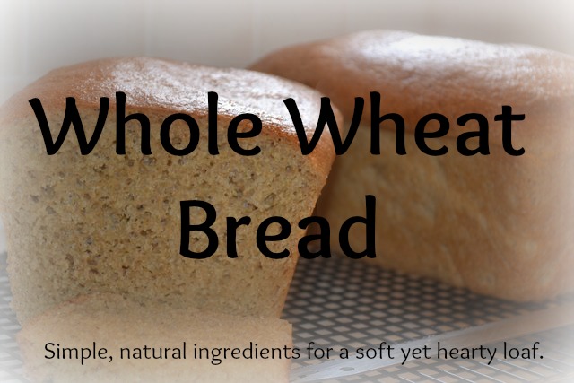 whole wheat bread recipe