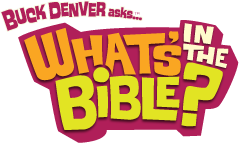 what's in the bible 