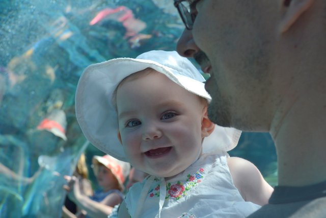 Her first trip to the zoo. Watching the world pass from Daddy's arms