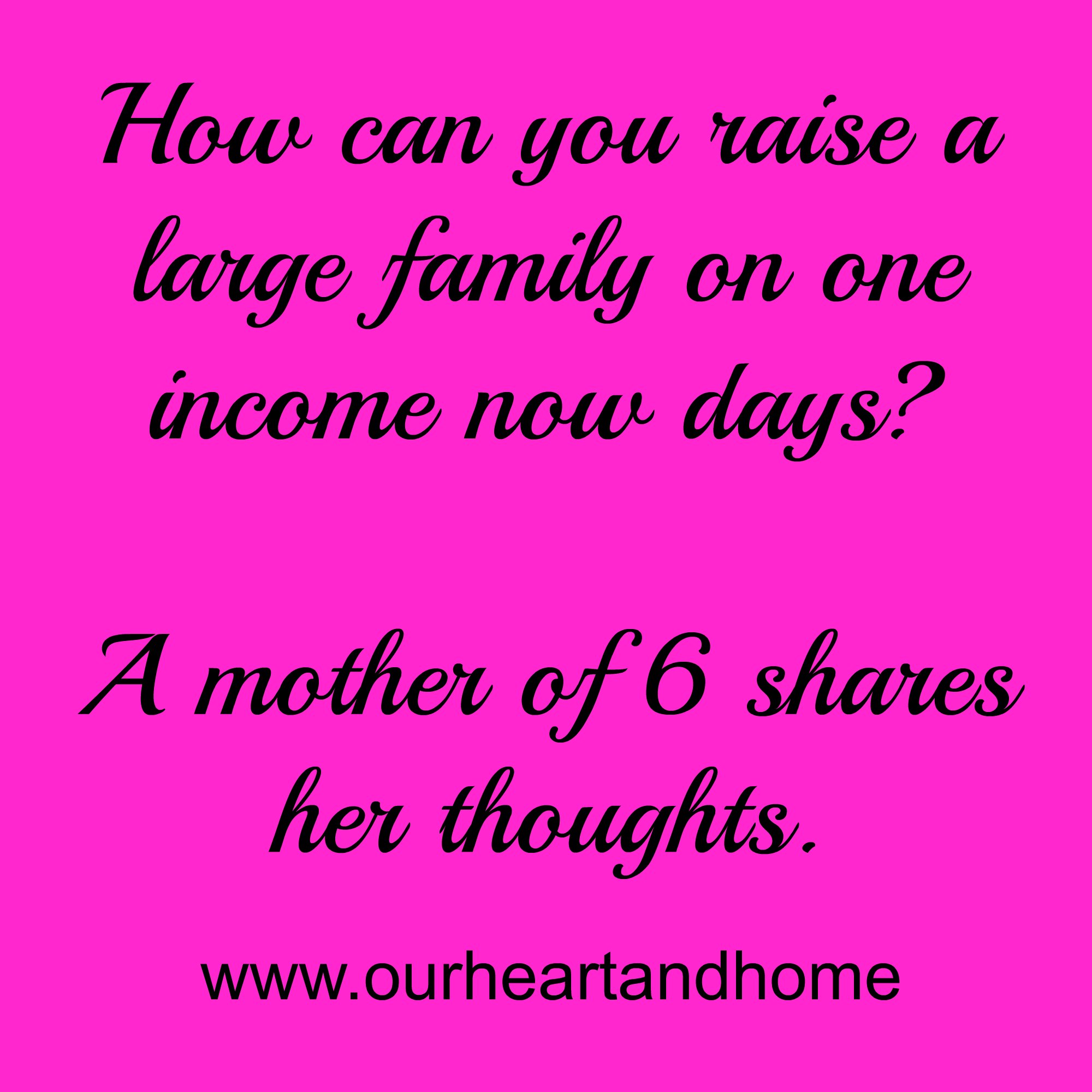 raising a large family on one income